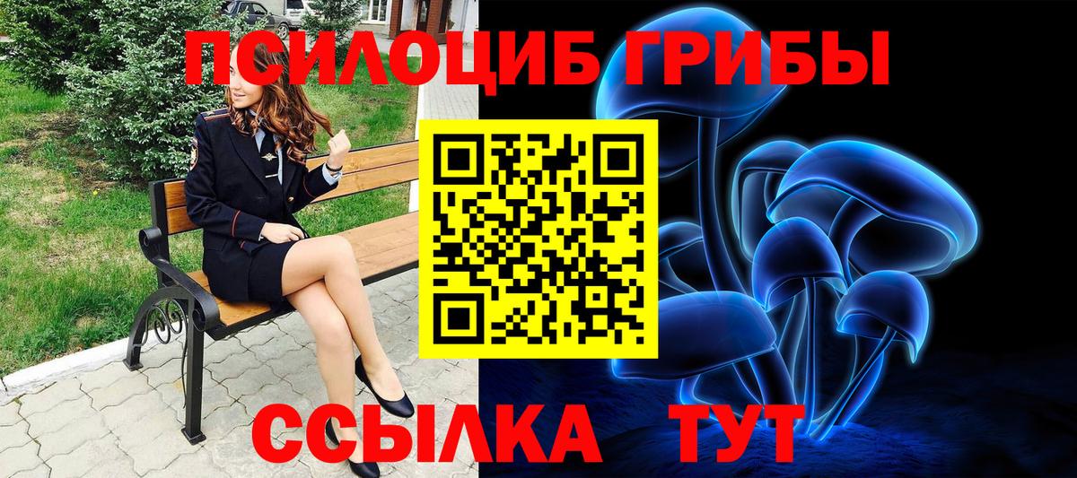 Гулькевичи  Псилоцибиновые грибы мухоморы  цены   Вход с VPN  Галлюциногенные грибы мухоморы 